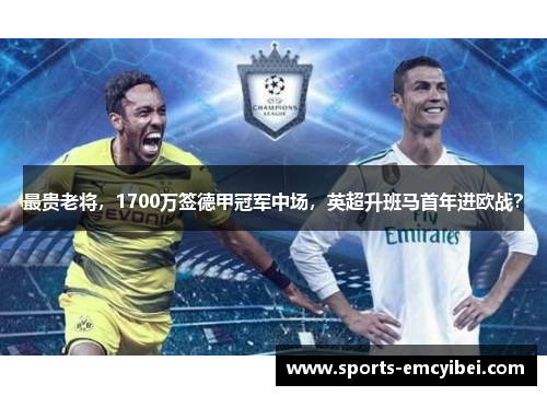 最贵老将，1700万签德甲冠军中场，英超升班马首年进欧战？